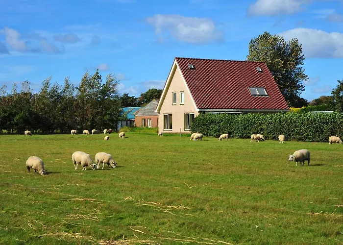 Witte Weelde Texel Maison d'hôtes