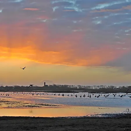 Witte Weelde Texel