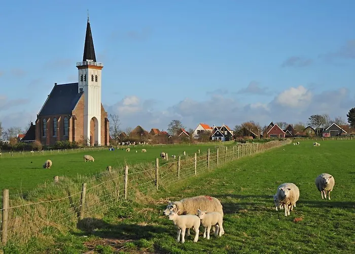 Witte Weelde Texel ゲストハウス デ・コーフ